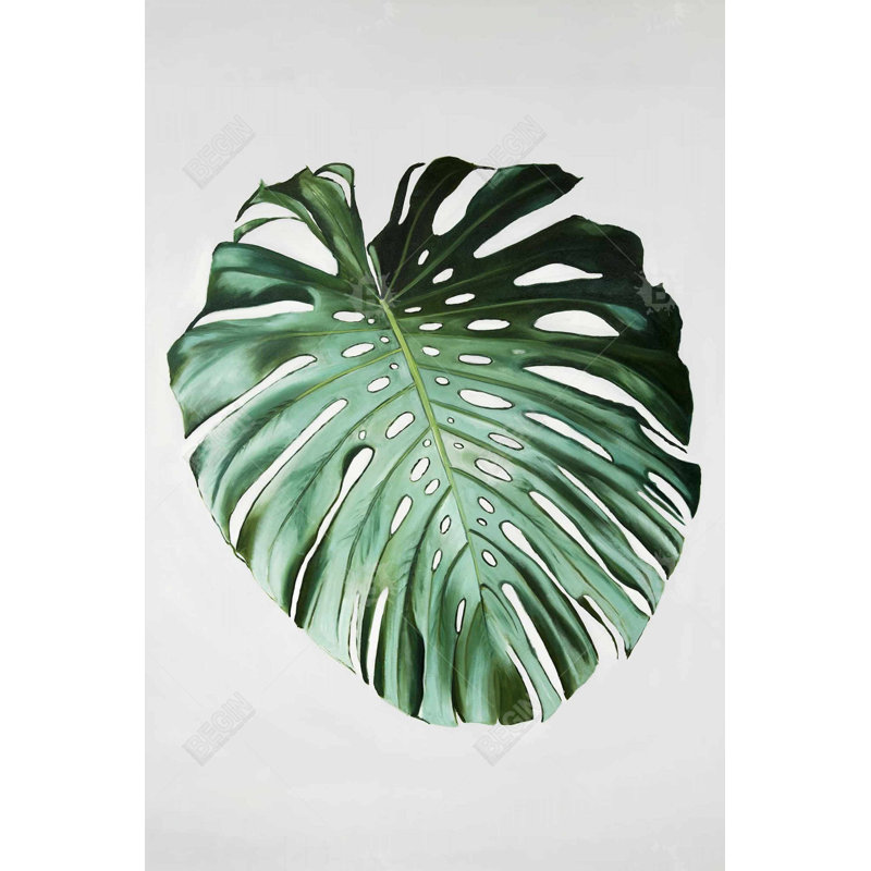 " Monstera Leaf "