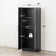 Wassim Single Storage Cabinet ( 65'' H x 24'' W x 16'' D)