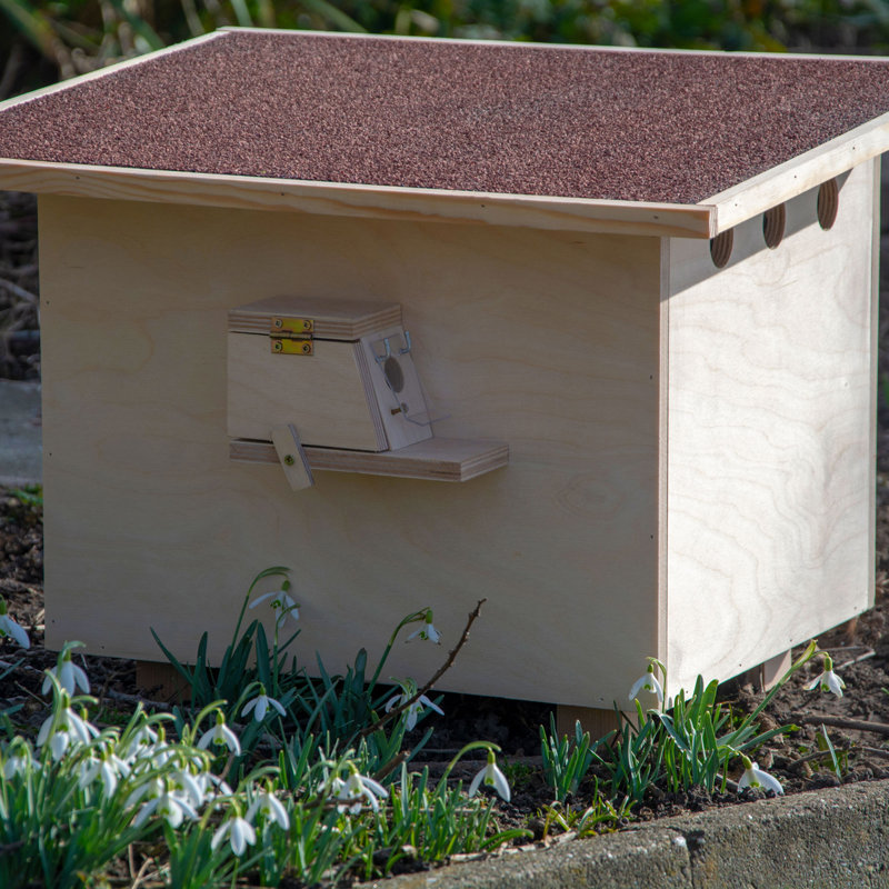Analena Free Standing Bumblebee House