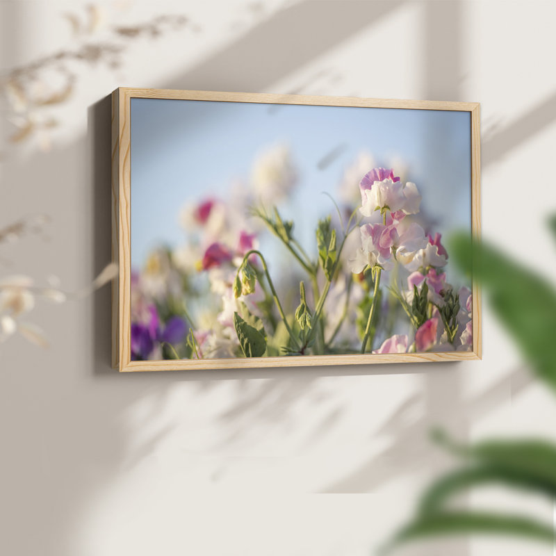 Pétales de printemps - impression encadrée - réarmable, H 8 po x l 10 po, Naturel