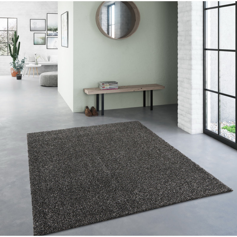 Salina Solid Colour 120cm X 170cm Area Rug