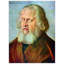 Albrecht Dürer - Wrapped Canvas Painting