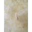 Elegance Collection Metallic Plaster Wallpaper Roll-1167304920