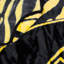 Jeté hawkeyes Iowa