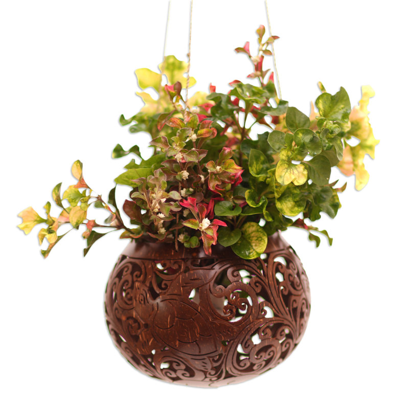 Handmade Hanging Planter