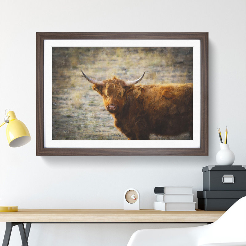 Highland Bull Cow Vol.2 - Framed Print, 27cm H x 36cm W x 2cm D, Walnut Framed