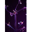LED Holiday Lighting