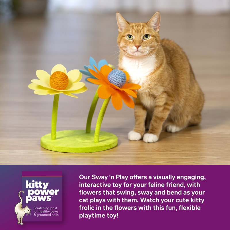 Grattoir pour chat Hoang Power Paws, Jaune