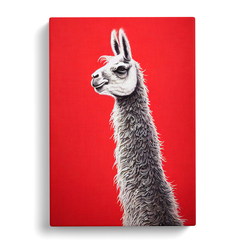 Llama Portrait Vol.2 - Wrapped Canvas, 50cm H x 35cm W x 3cm D