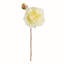 21-Inch Peony Stem-802925541