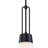 Rockleigh 60 Watt 1-Light Down Pendant Light with Etched Opal Glass Shade-1012800982-1012800981