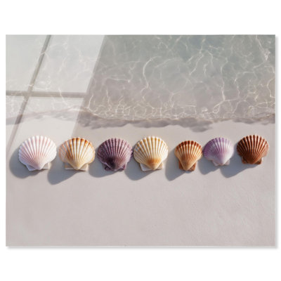 «Shells on the Sand», reproduction de photo sur toile par Notoriart