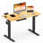 Eric Height Adjustable Standing Desk, 100% Bamboo Desktop-796140280-796140166