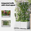 Planter Box