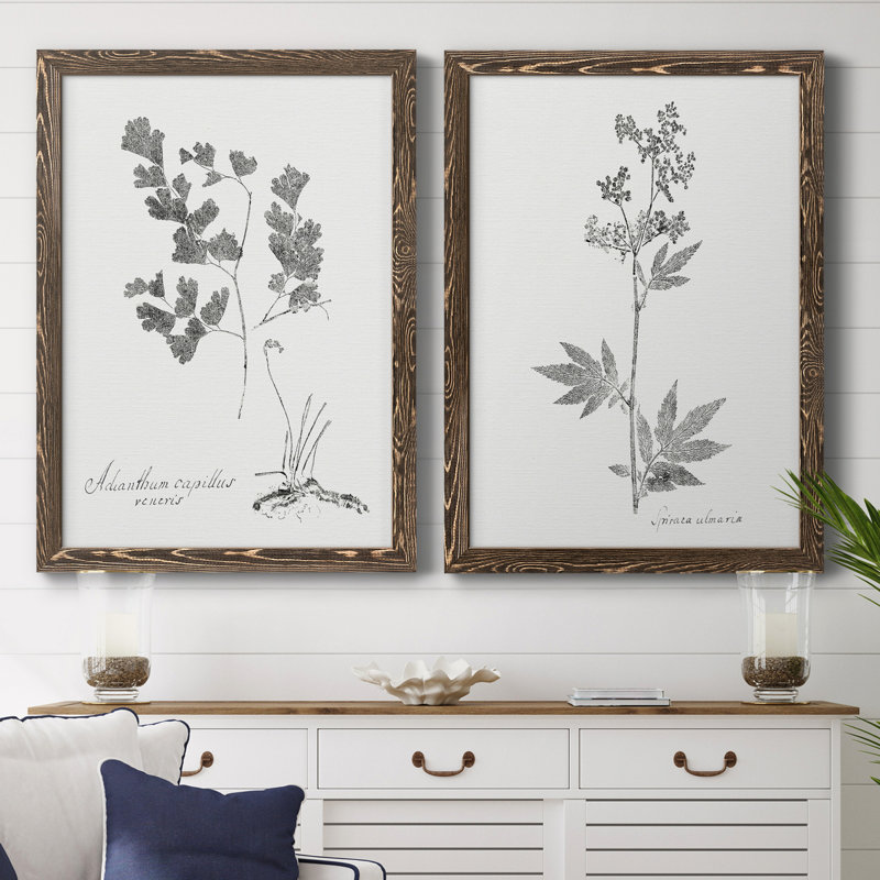 «Botanical Imprint I», ensemble de 2 peintures sur toile encadrées, Toile avec cadre en noyer, H 37,5 po x l 55 po x P 1,5 po