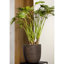 Capi Egg Planter Nature Rib-47838401-47838402