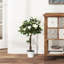 Charleston 90cm Plant-55937757