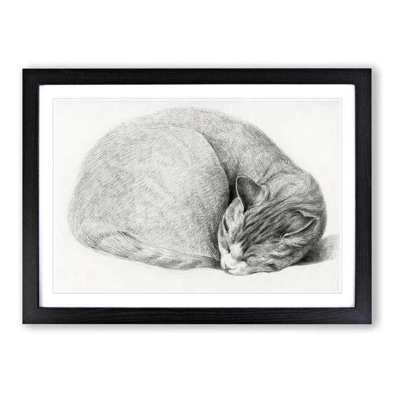 Slumbering Cat by Jean Bernard - Picture Frame Drawing Print, 36cm H x 48cm W x 2cm D, Black Framed