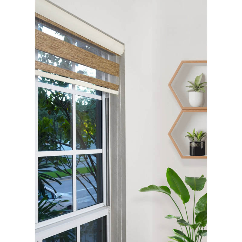Ahyaan Sheer Roller Shade, 24"W x 78"L, Brown