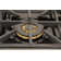 Custom Pro-Style 36 in. 5.2 cu. ft. 6-Burner Freestanding Gas Range with Convection Oven