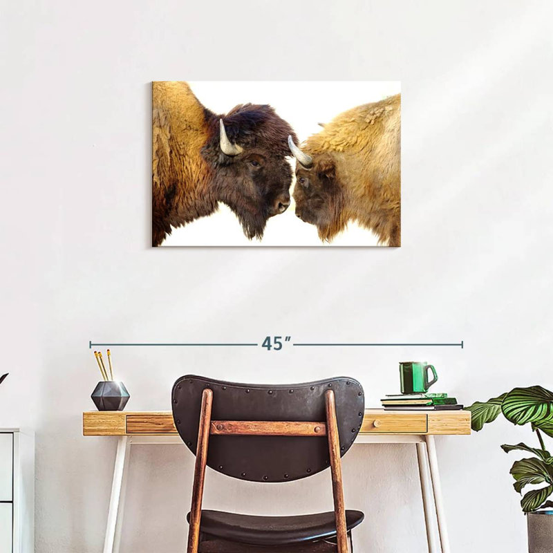 Brampt Bisons I, 20" H x 30" W
