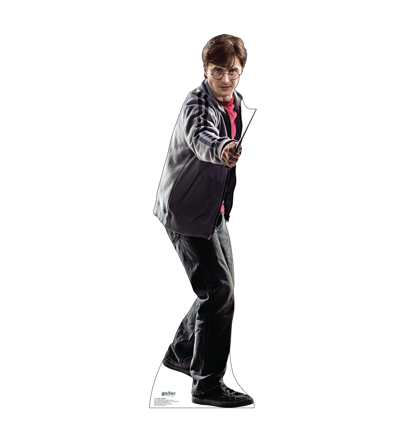 Advanced Graphics Harry Potter Cardboard StandUp Wayfair