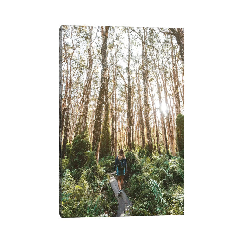 Girl Forest Bush Boardwalk by James Vodicka - Wrapped Canvas Gallery-Wrapped Canvas Giclée, 66.04 cm H x 45.72 cm W