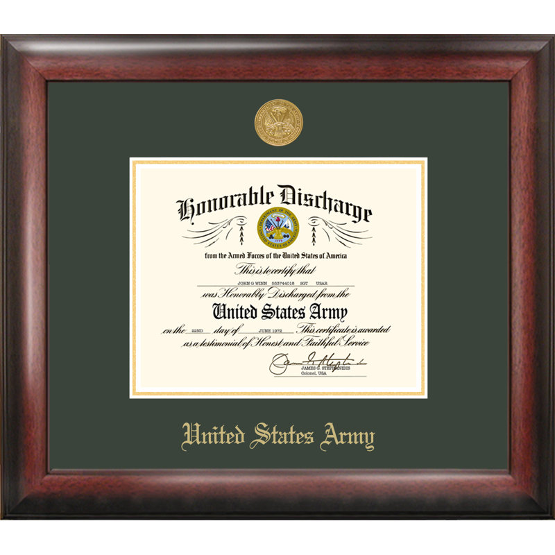 Army Discharge Picture Frame, 10" x 14"