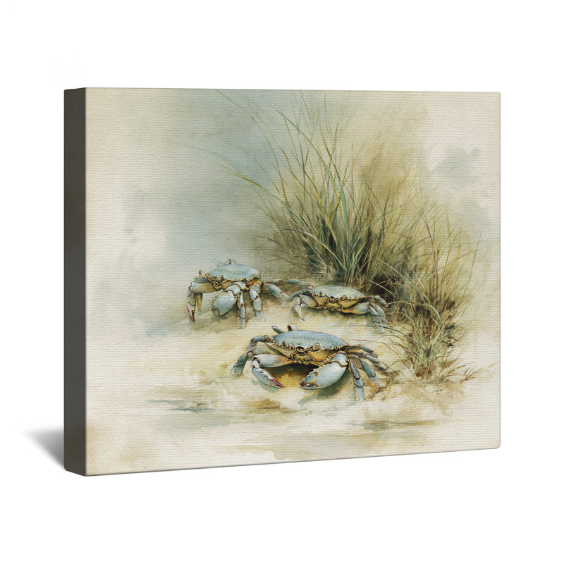 Toile tendue Crabs On Sandy Beach, 20 po x 30 po