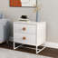 Aashi 48 cm W Bedside Table