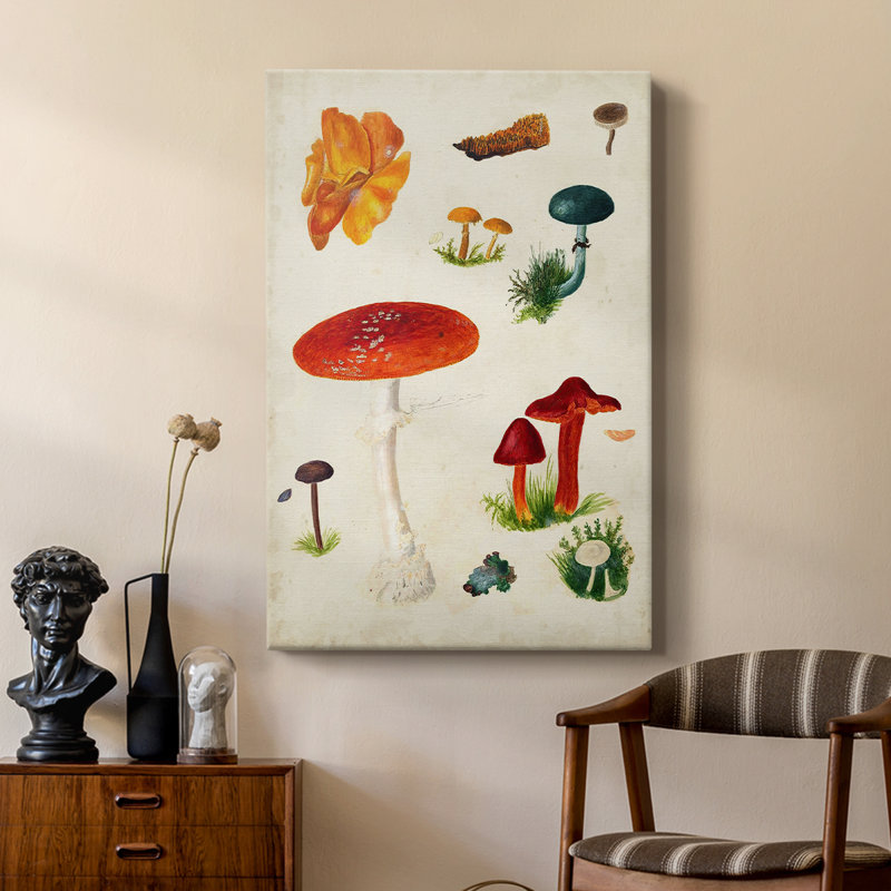 Mushroom Species VI - Gallery Cavas, H 27 po x l 18 po