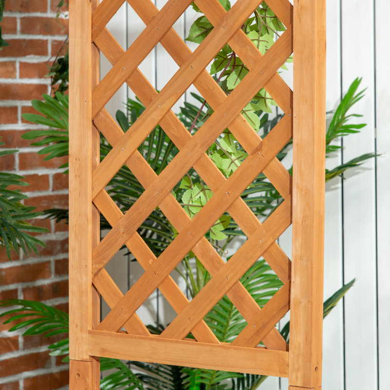 Braxtyn Solid Wood Fir Outdoor Bench