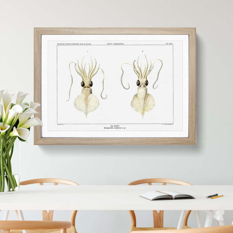 Love Heart Squid by Carl Chun - Picture Frame Painting Print, 27cm H x 36cm W x 2cm D, Oak Framed