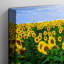 Wrapped Canvas Print-19096862