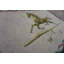 Vintage American Folk Art Horse Weathervane Hooked Rug