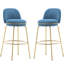 Métal bleu et doré de 2, cadre, repose-pieds pour des conversations prolongées, forme de chaise, motif uni, silhouette en mousse, dossier à profil bas, construction,
