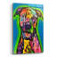 «Pitbull Green Glow» par Dean Russo-1586819267