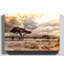 Landscape Africa Savannah Photographic - Wrapped Canvas-19089822