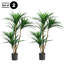 Ensemble de deux arbres artificiels Yucca Primrue