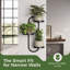 Porte-plante d'intérieur pour fenêtre avec plantes d'intérieur