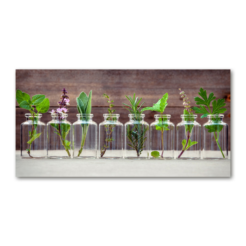 Plants In Jars - No Frame Print, Glass, 70cm H x 100cm W x 4cm D