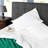 Organic Cotton 300 Thread Count Percale Deep Pocket Bed Sheet Set-124250788-124250790