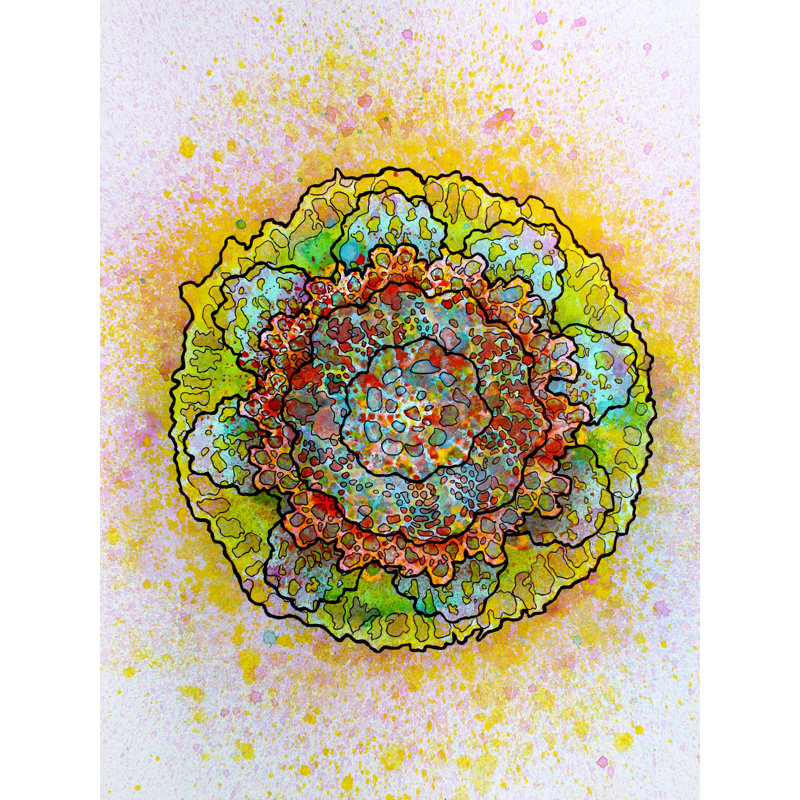 Stain 13 Print by Katie Schutte, 31.25" H x 25.25" W