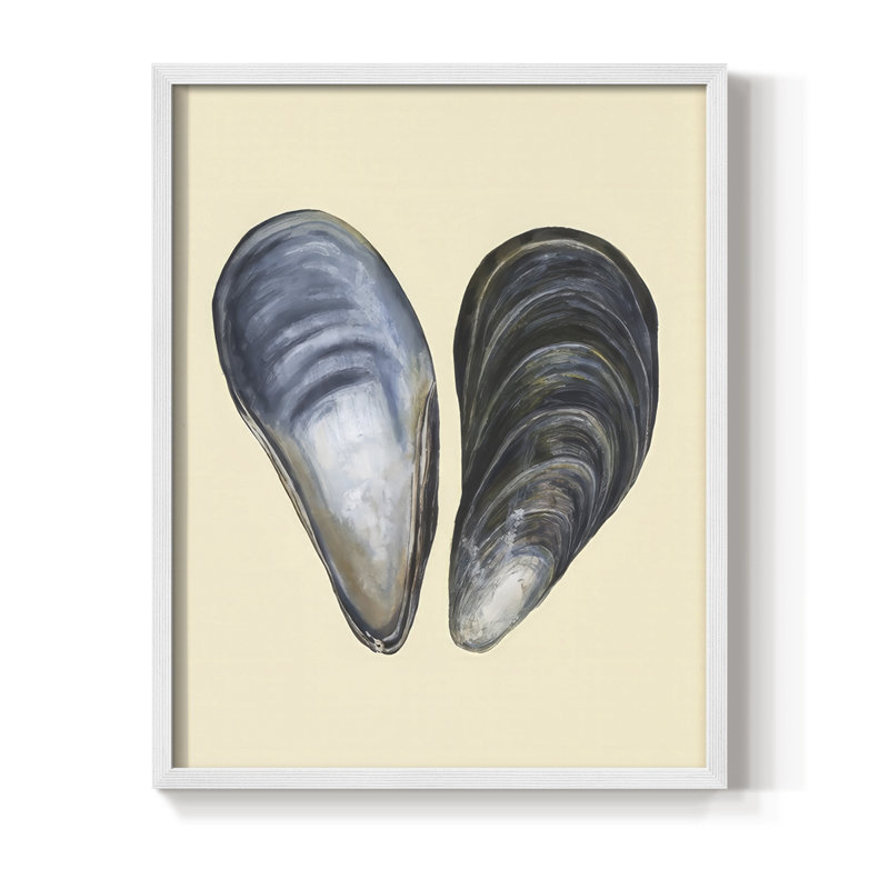 «Bivalve Shells I», reproduction encadrée - bois massif, H 21 po x l 17 po, Blanc