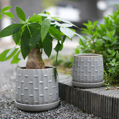 Handmade Gray Glazed Ceramic Planter Set of 2, 6" & 8" Diameter, Vertical Ribbed Pattern, for Succulents & Herbs Indoor/Outdoor Shelf & Table Use, Breathable Clay with Saucers