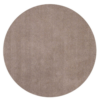 Indoor Rug