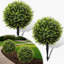 60cm Tree