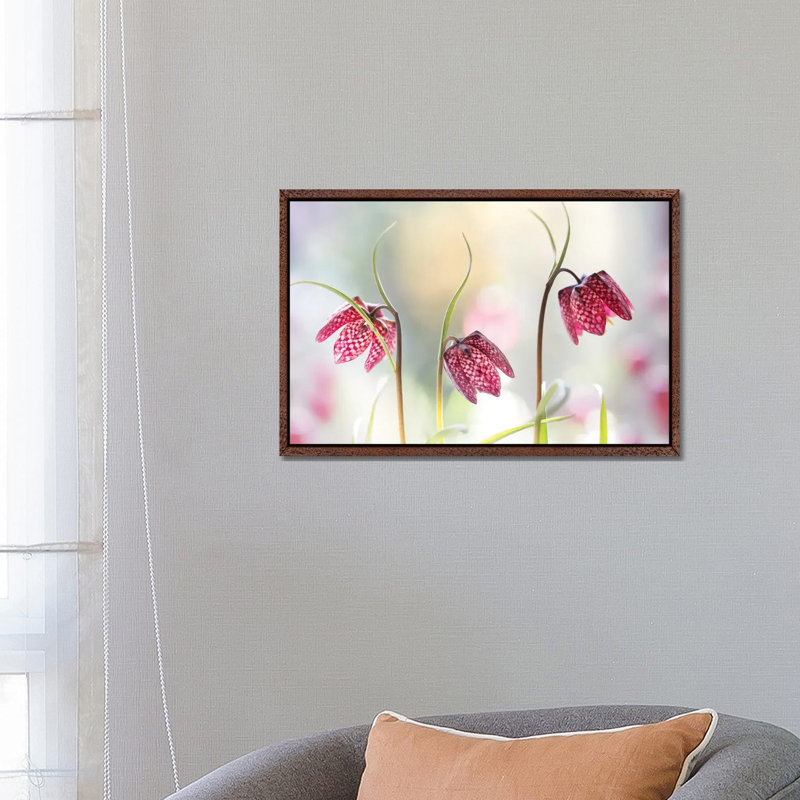 Snakes Head Fritillary by Mandy Disher - Floater Frame Print on Canvas, Brown, 66.04 cm H x 45.72 cm W