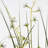 Faux Grass in Cement Pot-649802930