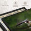 «Bald Eagle Reflection Wall Art»-2005910868